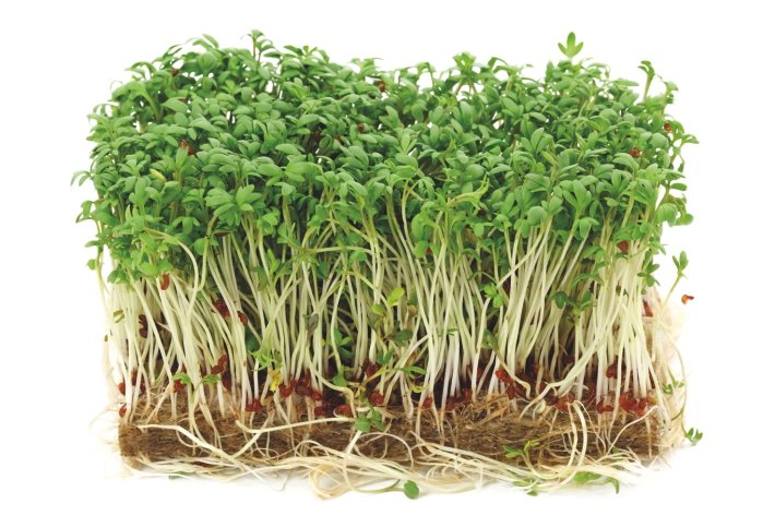 De ce ar trebui să consumi germeni de broccoli?