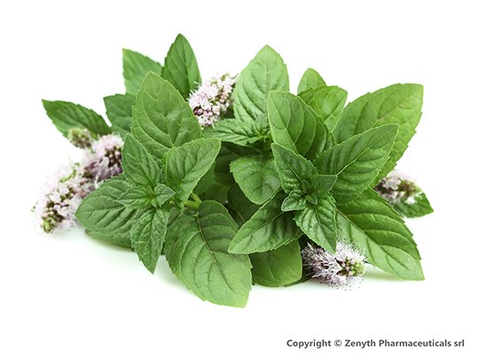 ColonHelp Probiotic Forte și colonul iritabil