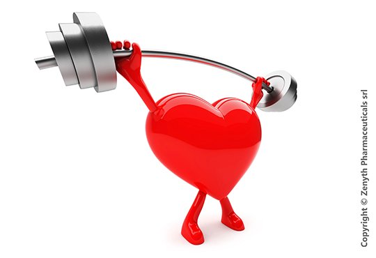 Fibrele, în prevenirea și refacerea post-atac de cord