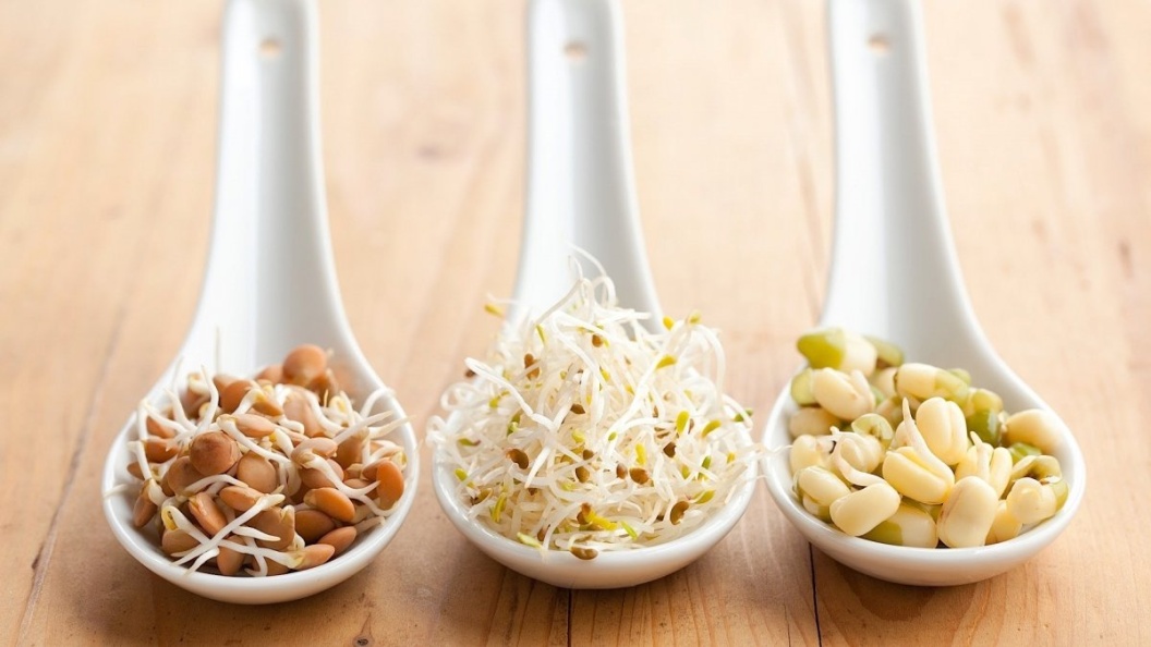 Puterea incredibilă a germenilor și lăstarilor: Descoperă cum să ai o sănătate de fier!