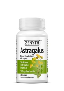 Astragalus Zenyth