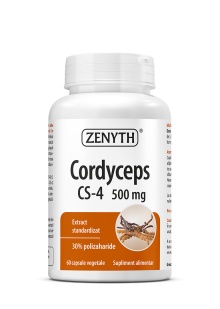 Cordyceps Zenyth