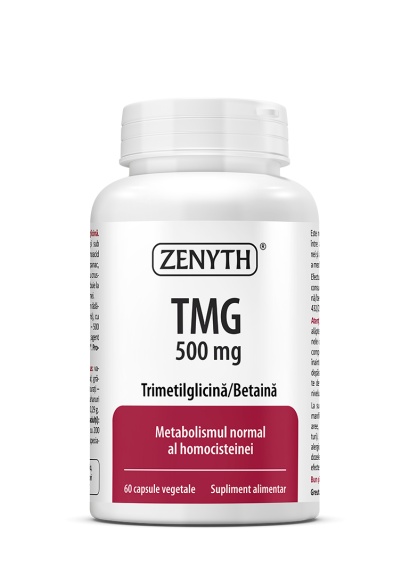 TMG Zenyth